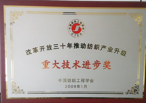 重大技術(shù)進(jìn)步獎(jiǎng)